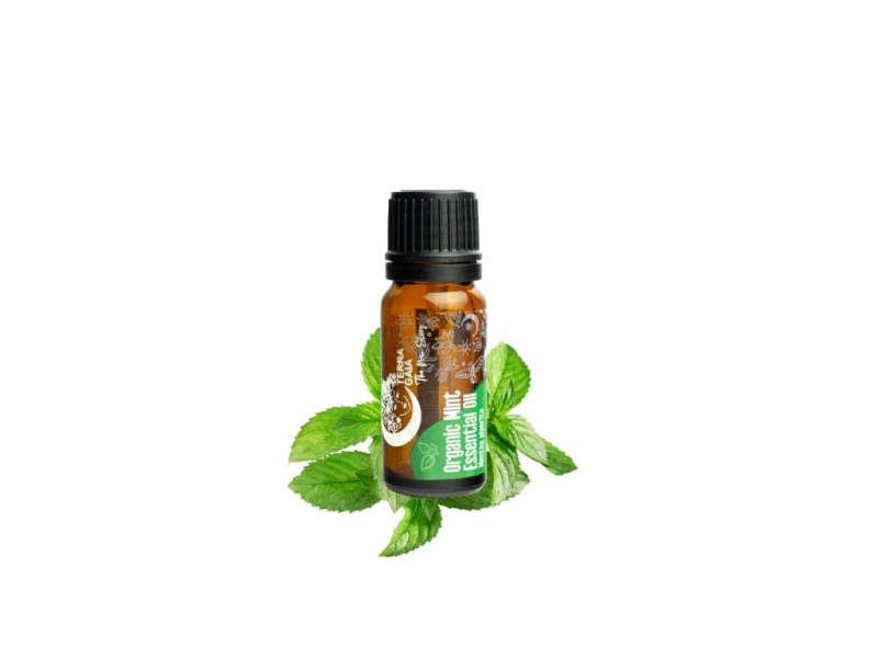 Ulei Esențial Organic de Mentă, 10 ml, Terra Gaia