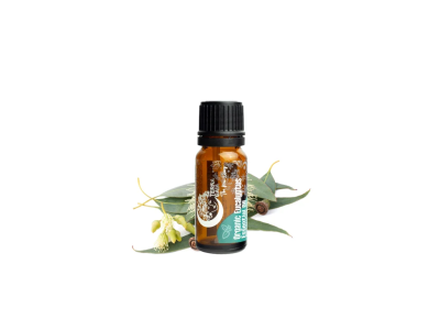 Ulei Esențial Organic de Eucalipt 10 ml | Terra Gaia