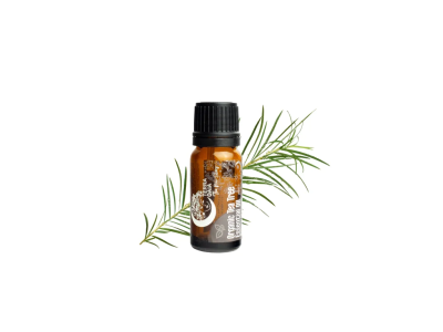 Ulei Esențial Organic de Tea Tree 10 ml | Terra Gaia