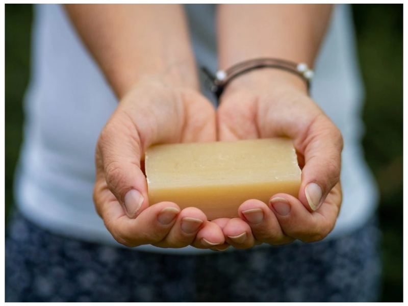 Gall soap - săpun pentru Îndepărtarea Petelor, TerraGaia