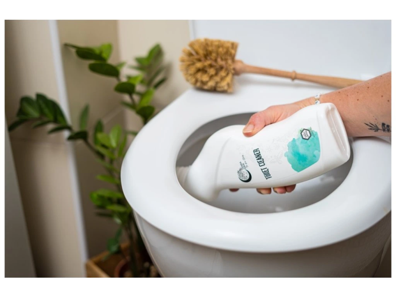 Detergent Eco pentru Toaletă cu Ulei de Pin 500 ml, TerraGaia